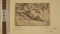Mazzola Francesco detto il Parmigianino - Amore addormentato